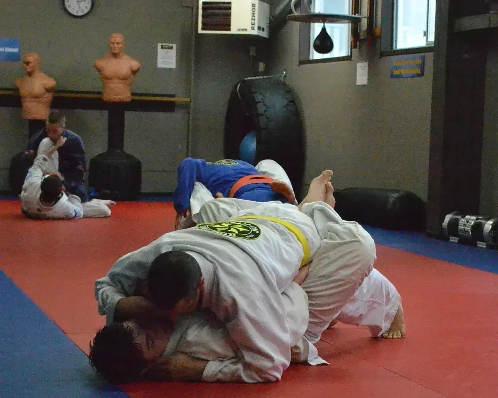Adult Jiu Jitsu